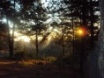 /album/instalaciones/dsc00948-jpg/